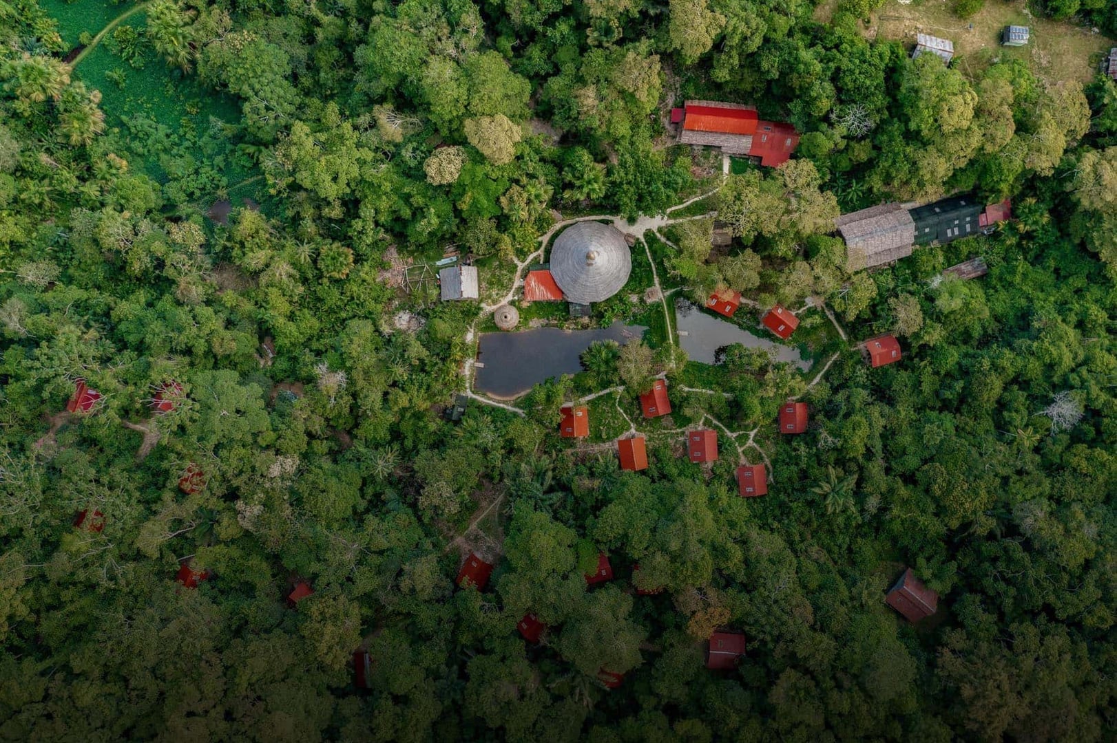 Retiro de Ayahuasca para Profesionales de la Salud 2026