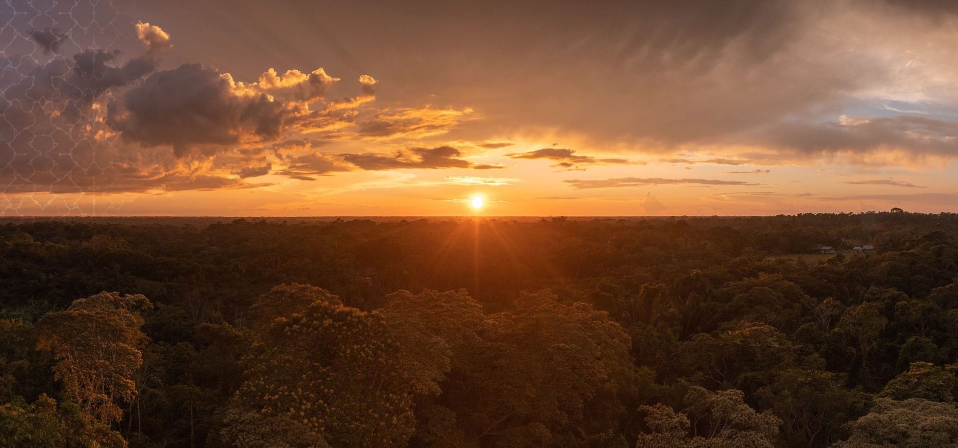 Living in Alignment Ayahuasca Healing Retiro + 5-Day Extensión de Integración Retiro