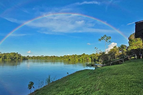 Retiro de Ayahuasca para Mujeres de 10 Días