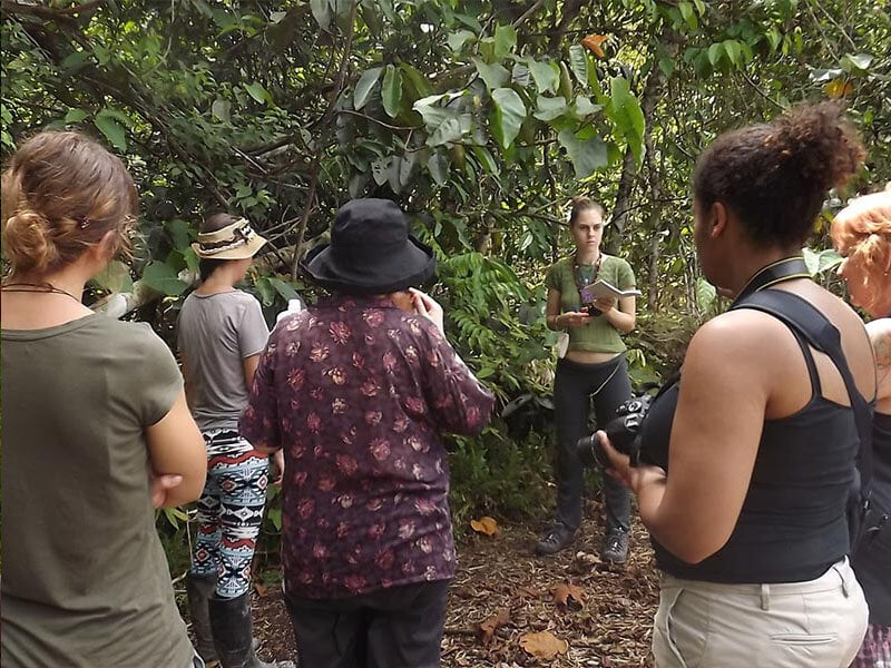 Retiro de Ayahuasca para Mujeres de 10 Días