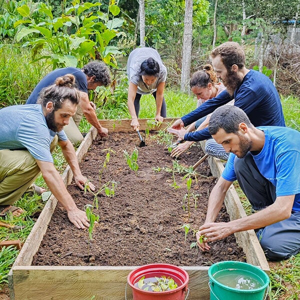 Curso de iniciación Shipibo de ayahuasca de ocho semanas en Perú – 4 de octubre - 28 de noviembre de 2026