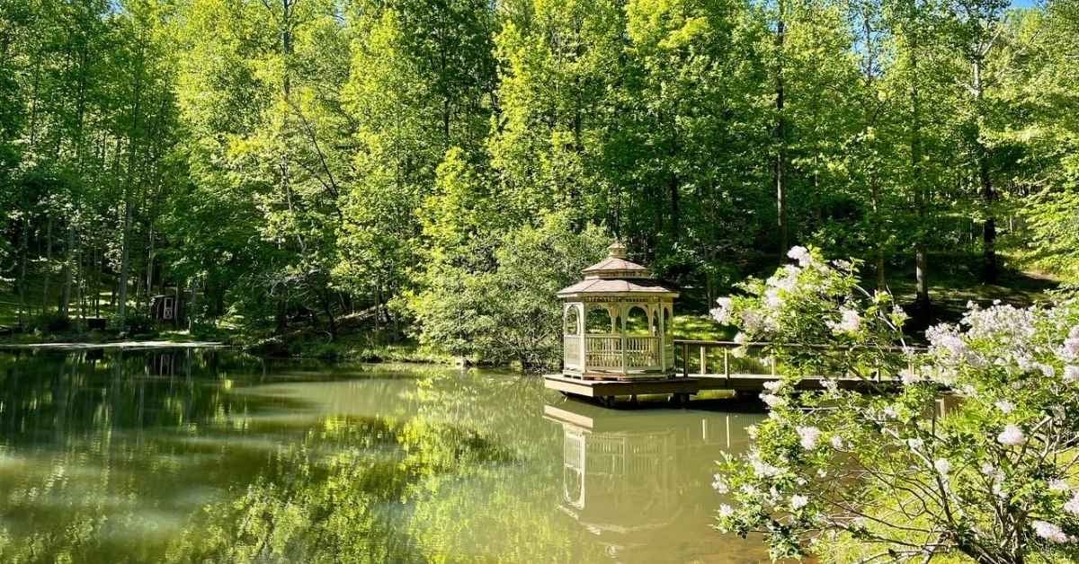 Retiro de respiración, cuerpo y sonido