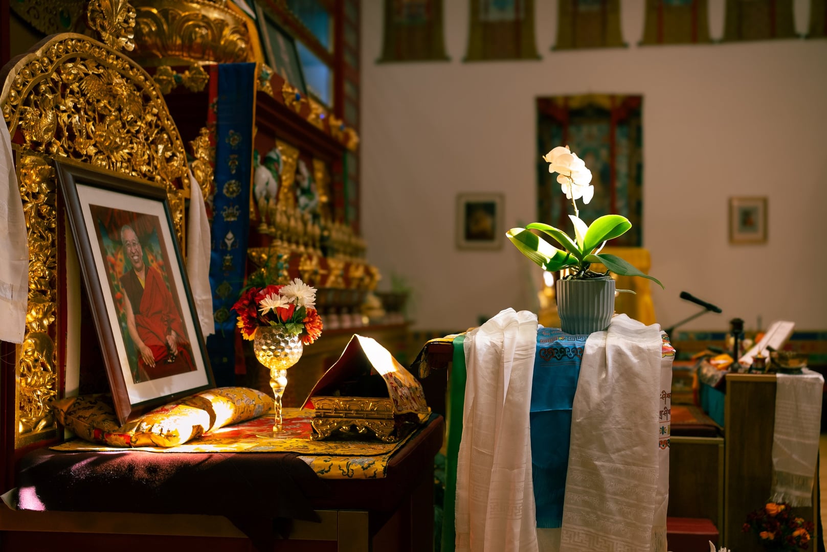 Milarepa: Enseñanzas sobre la vida extraordinaria de un yogui tibetano con Ani Lodro