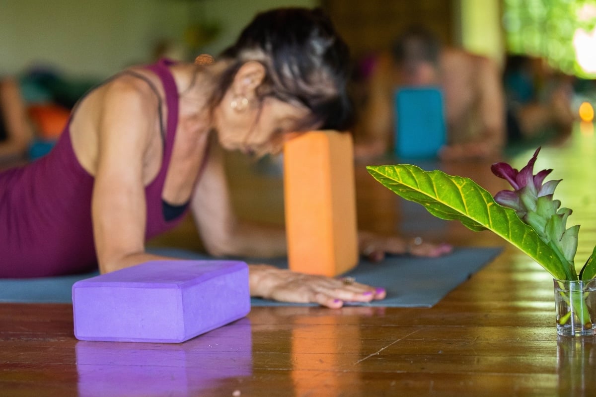 Formación en Yoga Restaurativo y Meditación