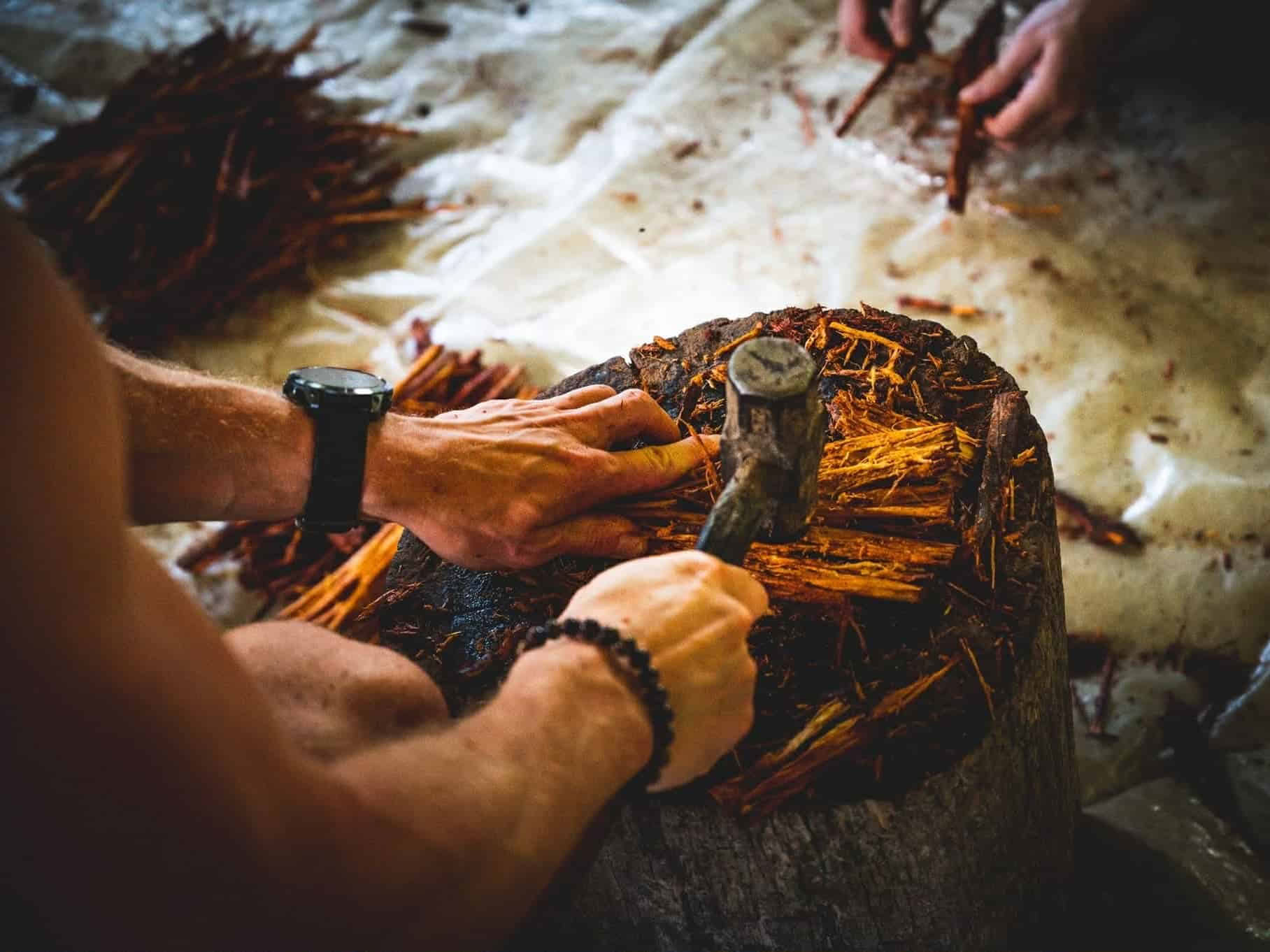 Retiro de Ayahuasca de 5 días en Ecuador
