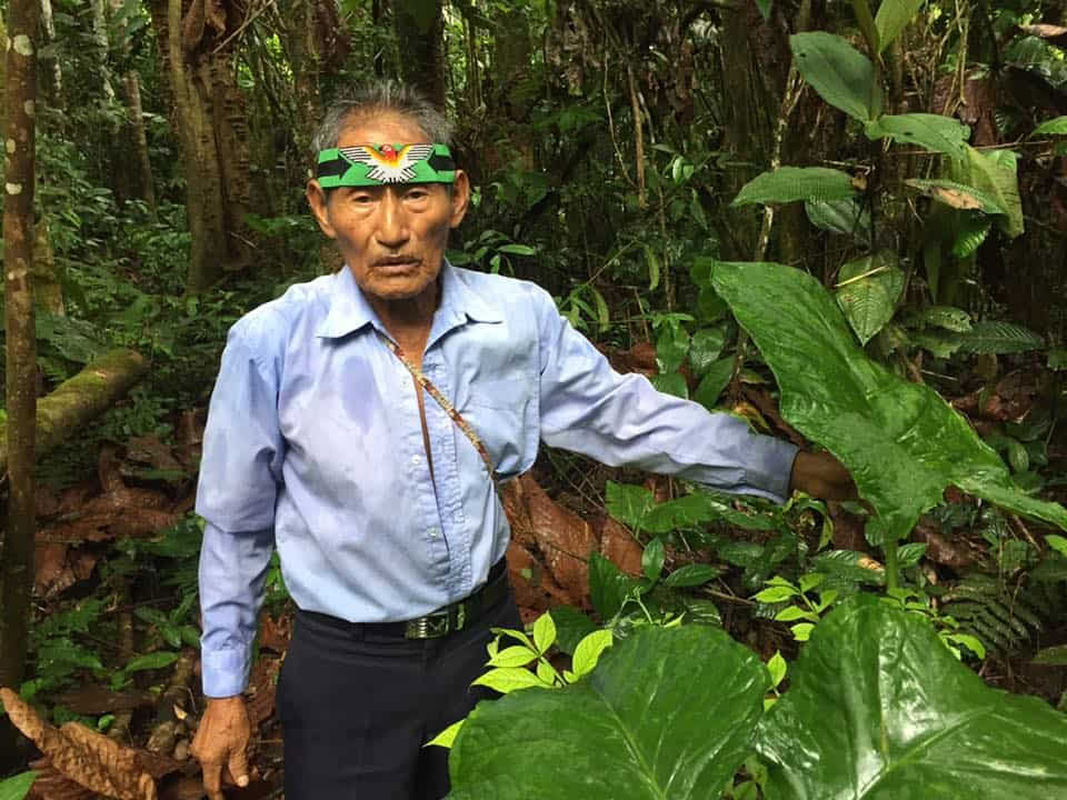 Retiro de Ayahuasca de 5 días en Ecuador