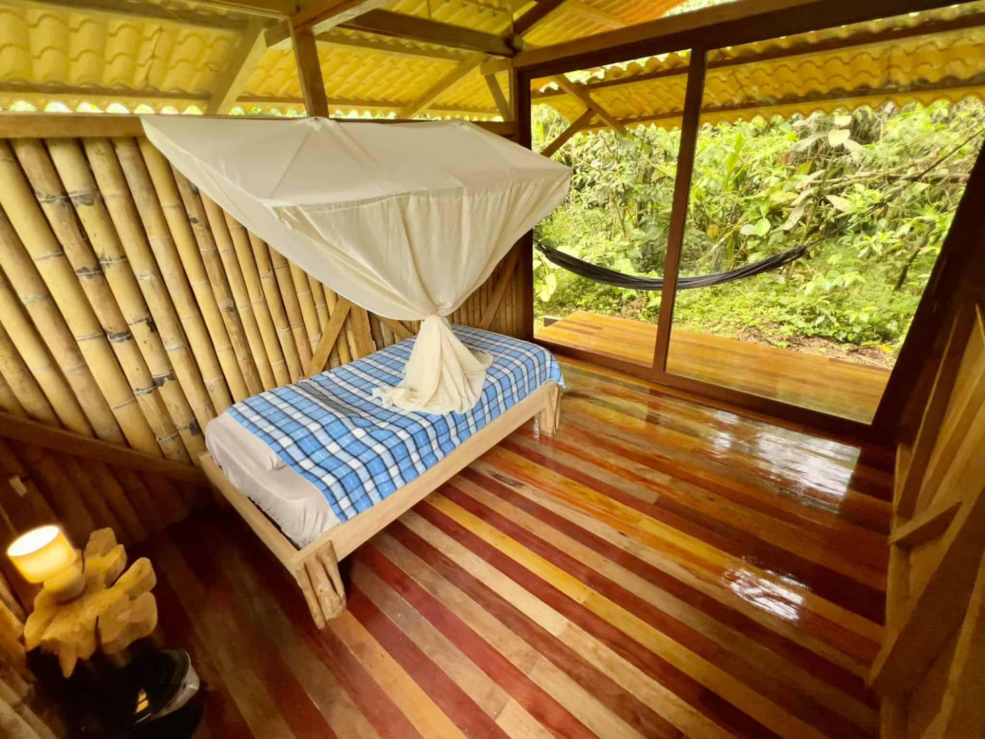 Retiro de Ayahuasca de 5 días en Ecuador