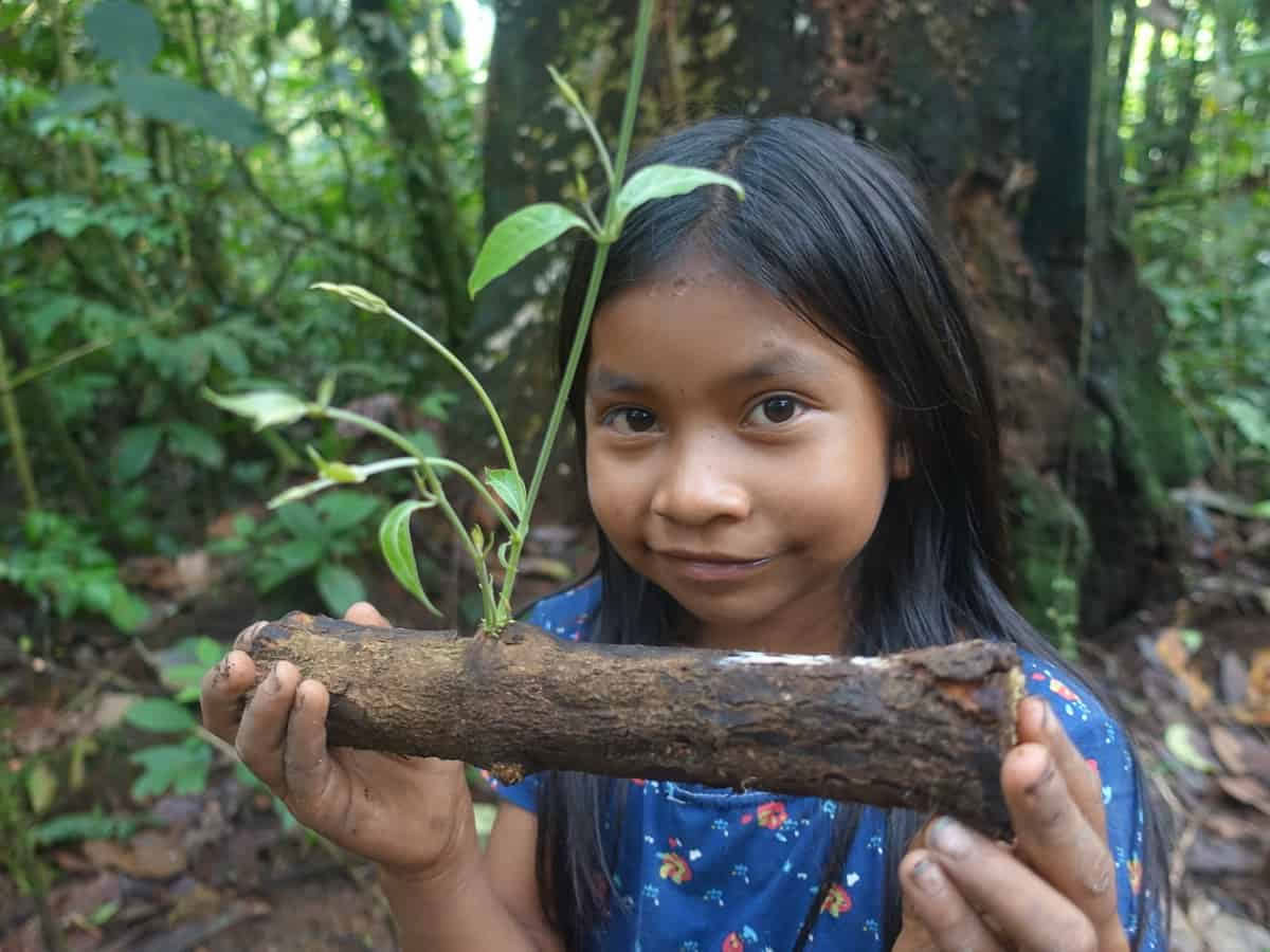 Retiro de Ayahuasca de 5 días en Ecuador
