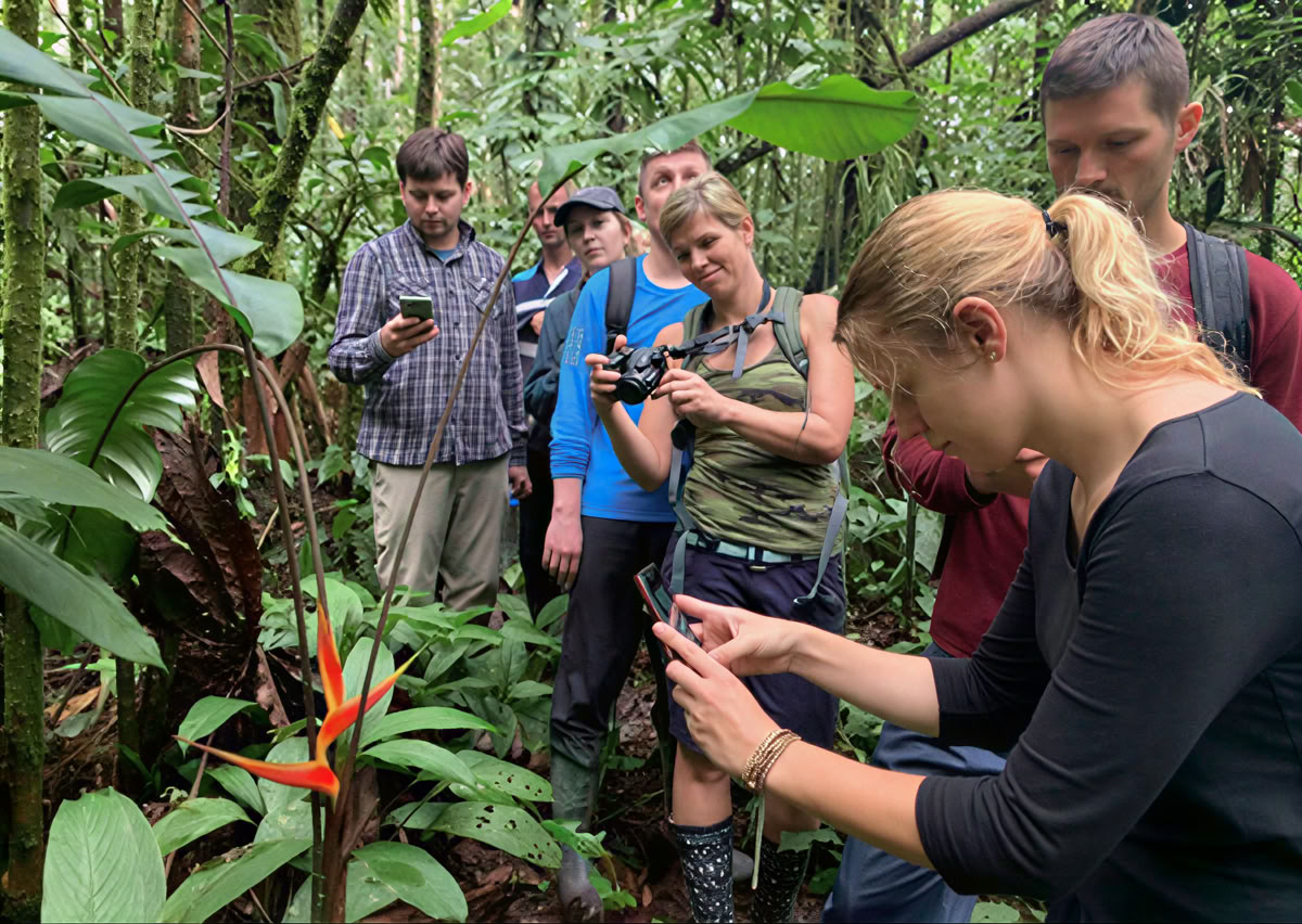 Retiro de Ayahuasca de 5 días en Ecuador