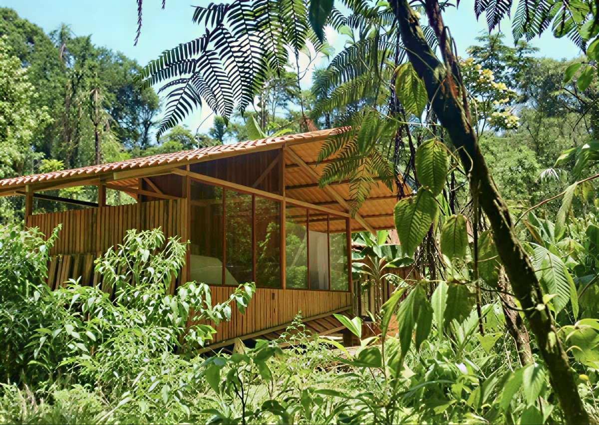 Retiro de Ayahuasca de 5 días en Ecuador