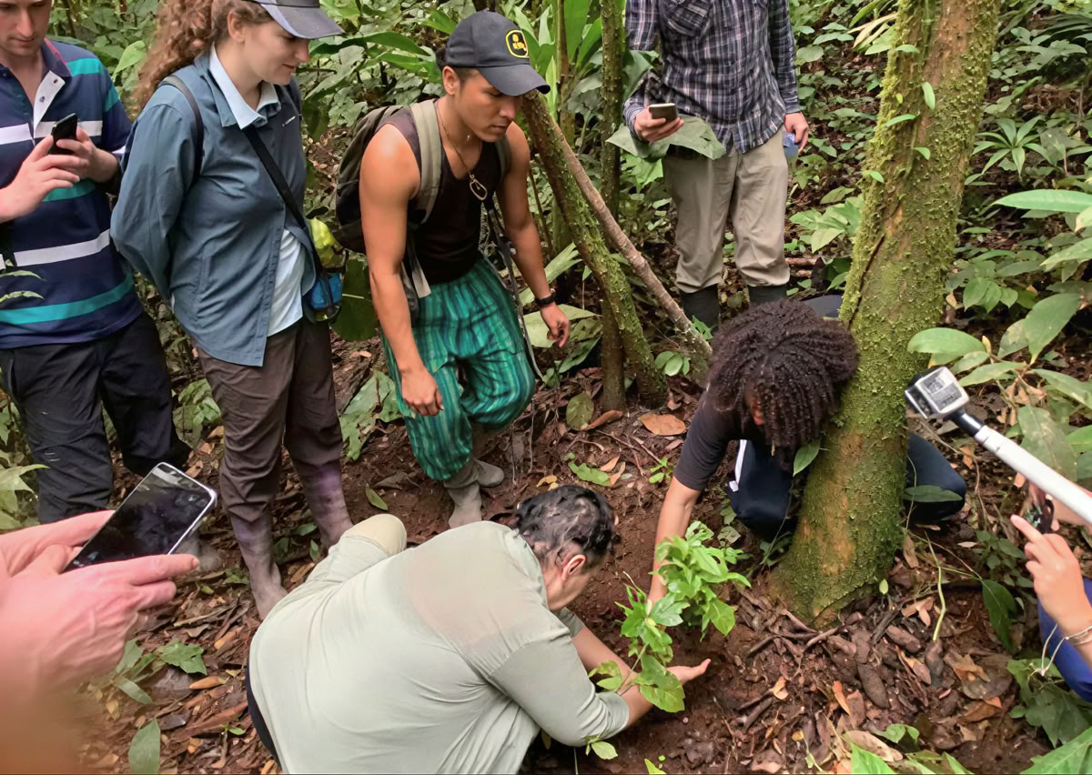 Retiro de Ayahuasca de 5 días en Ecuador