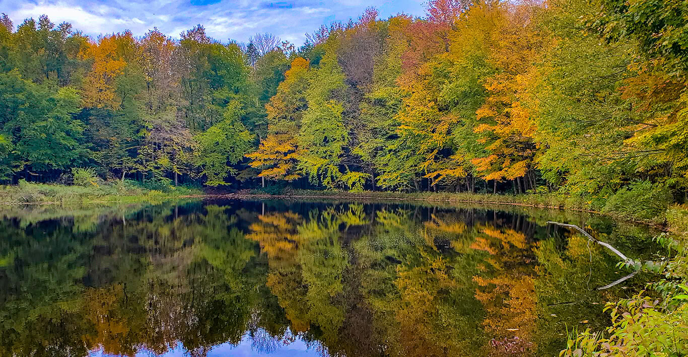 Harvest Moon Festival en Sunset Pond