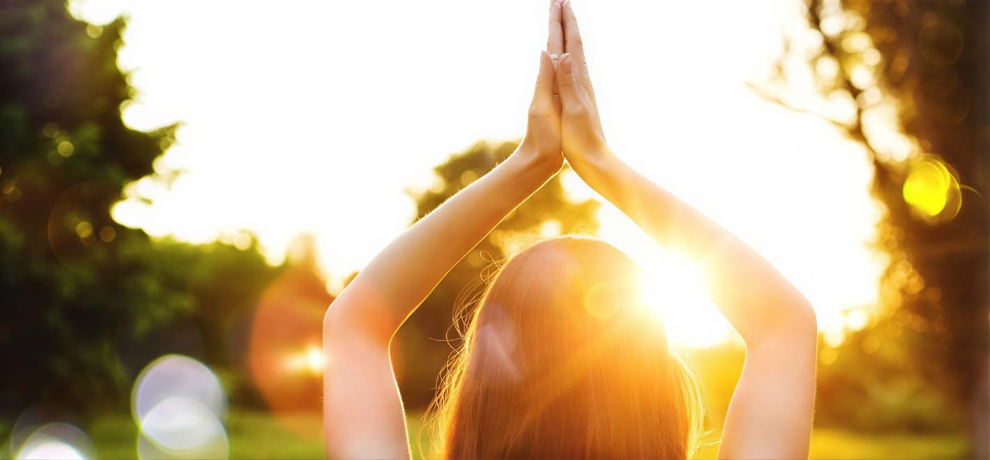 Construyendo Resiliencia