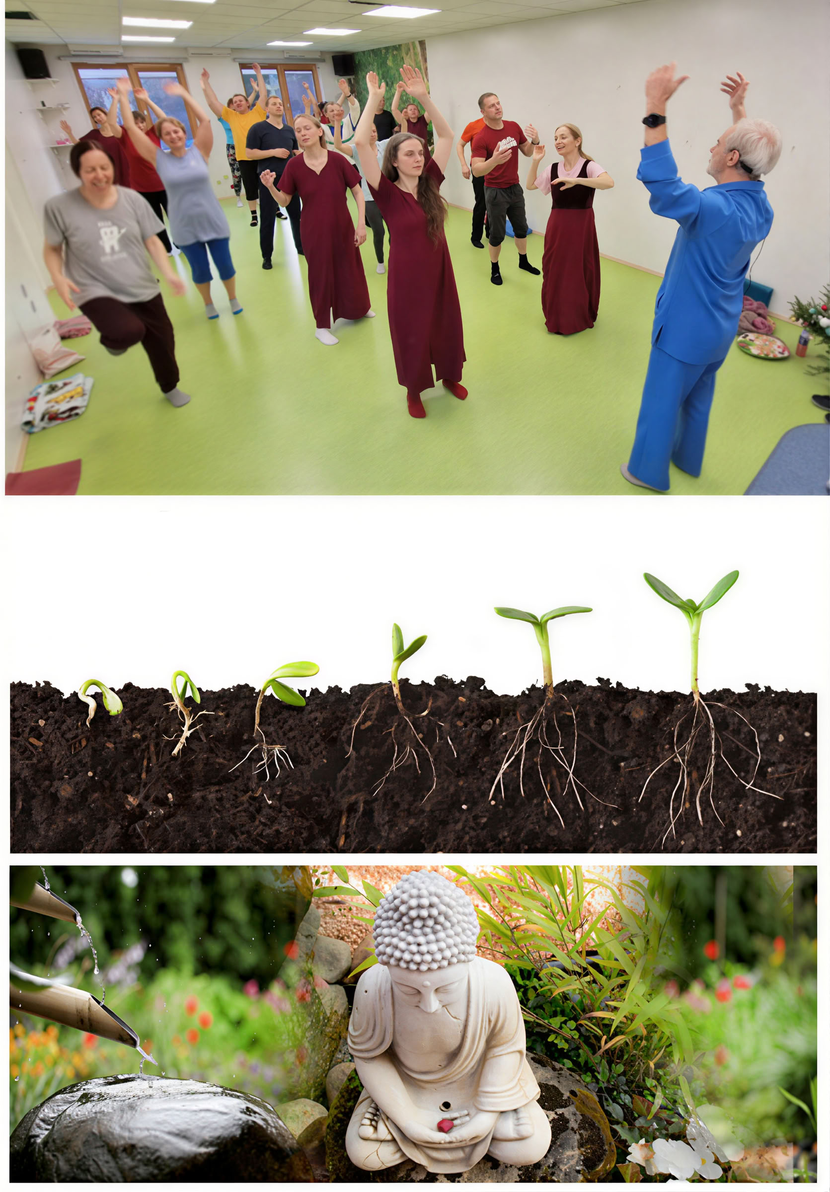 Meditacijos mokykla – 8. Meditacija - cuerpo, mente y alma en unidad
