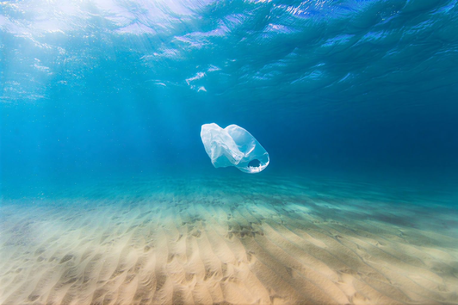 Oceans of Compassion: Un Retiro Al Servicio De La Tierra