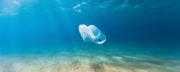 Oceans of Compassion: Un Retiro Al Servicio De La Tierra