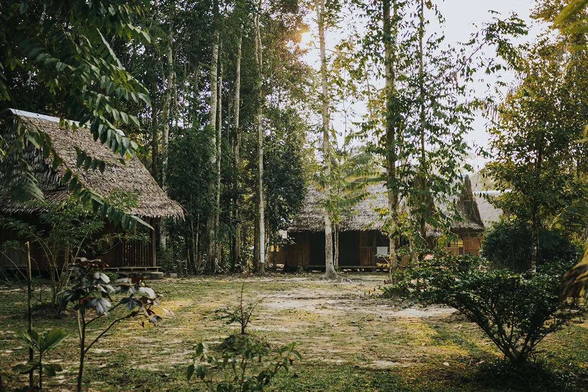 Retiro de Ayahuasca de Transformación