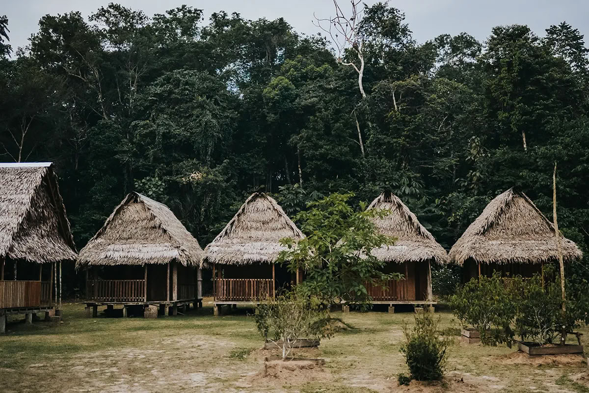 Retiro de Ayahuasca de Transformación