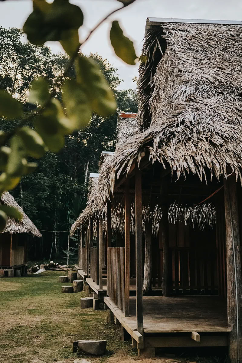 Retiro de Ayahuasca de Transformación
