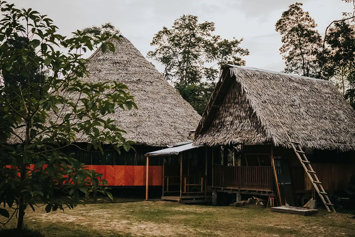 Retiro de Ayahuasca de Transformación