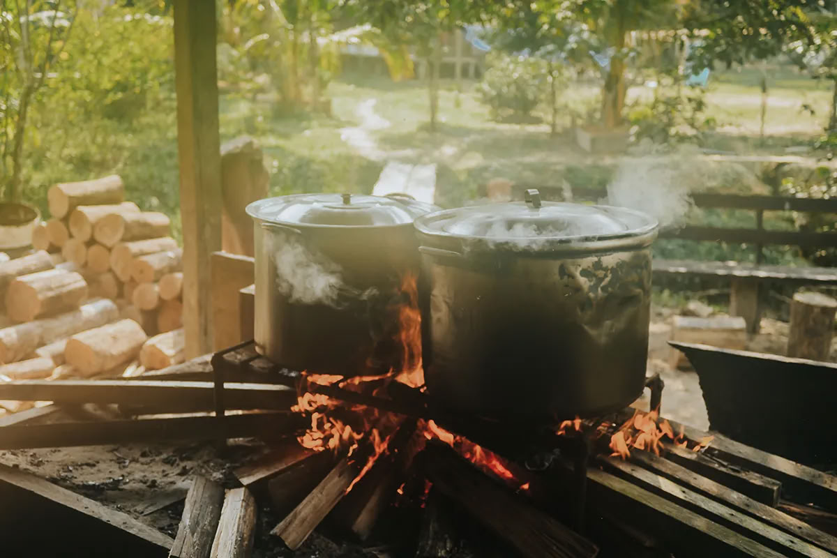 Retiro de Ayahuasca de Transformación