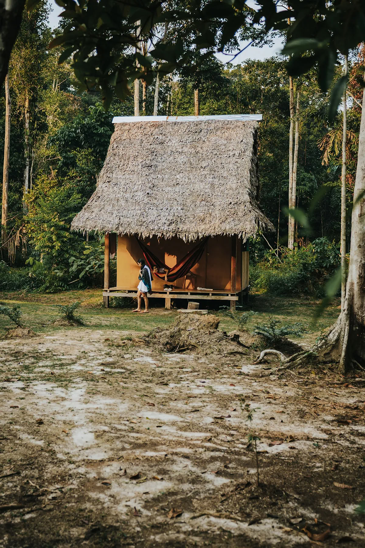 11 días Retiro de Ayahuasca en Perú – 31 de agosto - 10 de septiembre de 2026 | Shipibo Healing & Integration