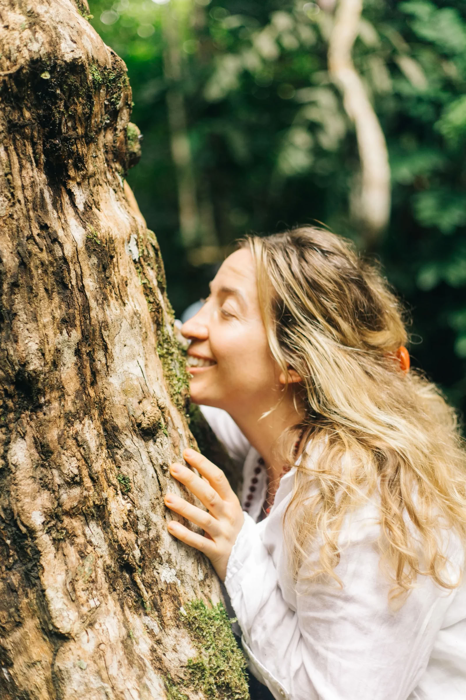 11 días Retiro de Ayahuasca en Perú – 31 de agosto - 10 de septiembre de 2026 | Shipibo Healing & Integration