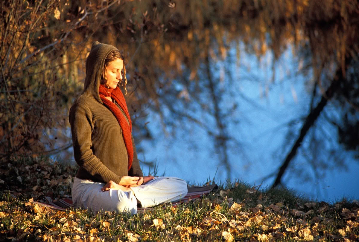 Raíces de Resiliencia: Yoga y El Trabajo Que Reconecta