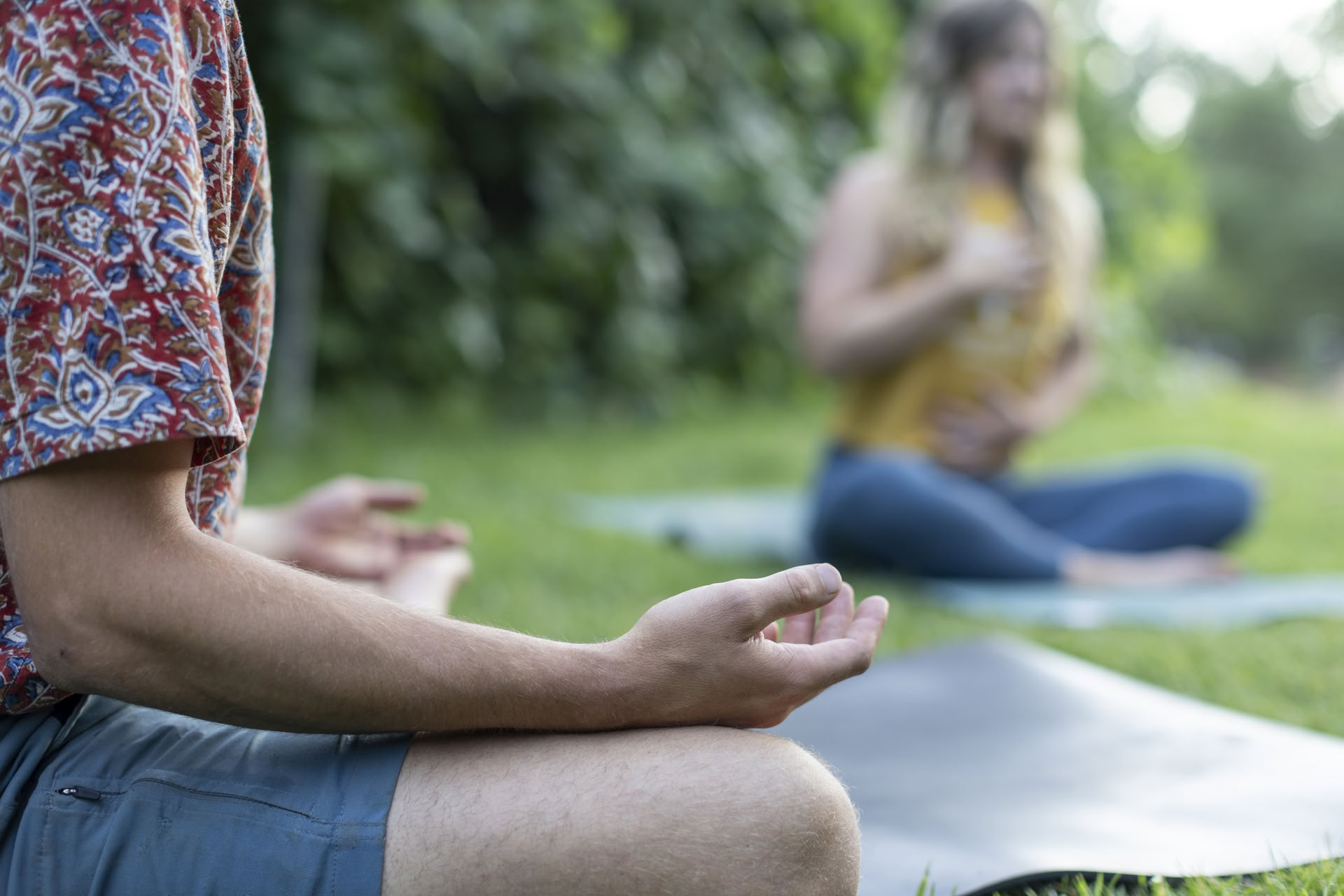 Raíces de Resiliencia: Yoga y El Trabajo Que Reconecta