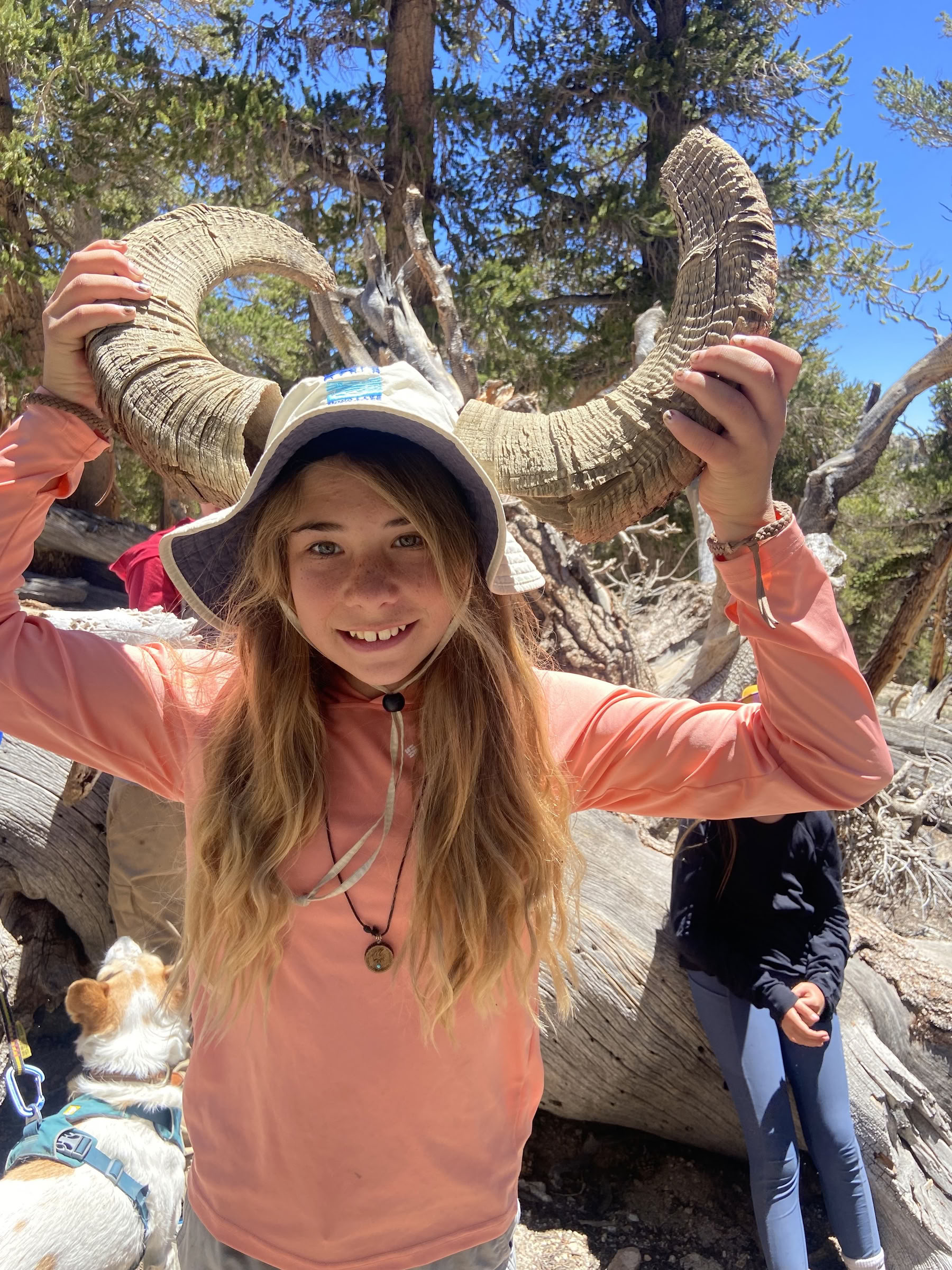 Youth Engaged in Transformational Inquiry : 6-Day Campamento en la naturaleza