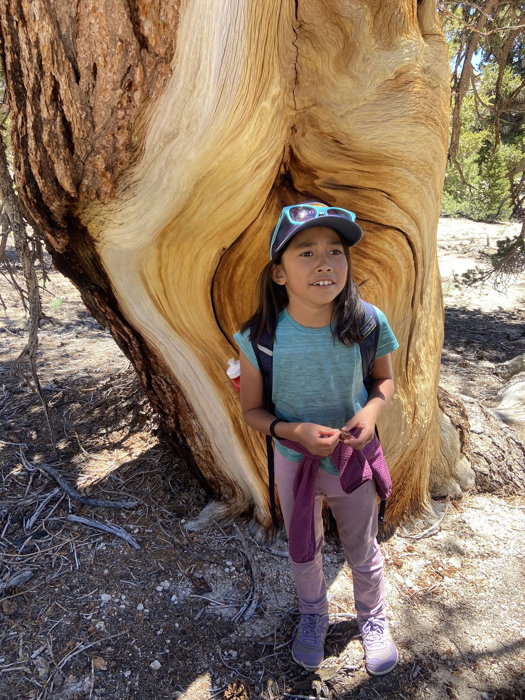 Youth Engaged in Transformational Inquiry : 6-Day Campamento en la naturaleza