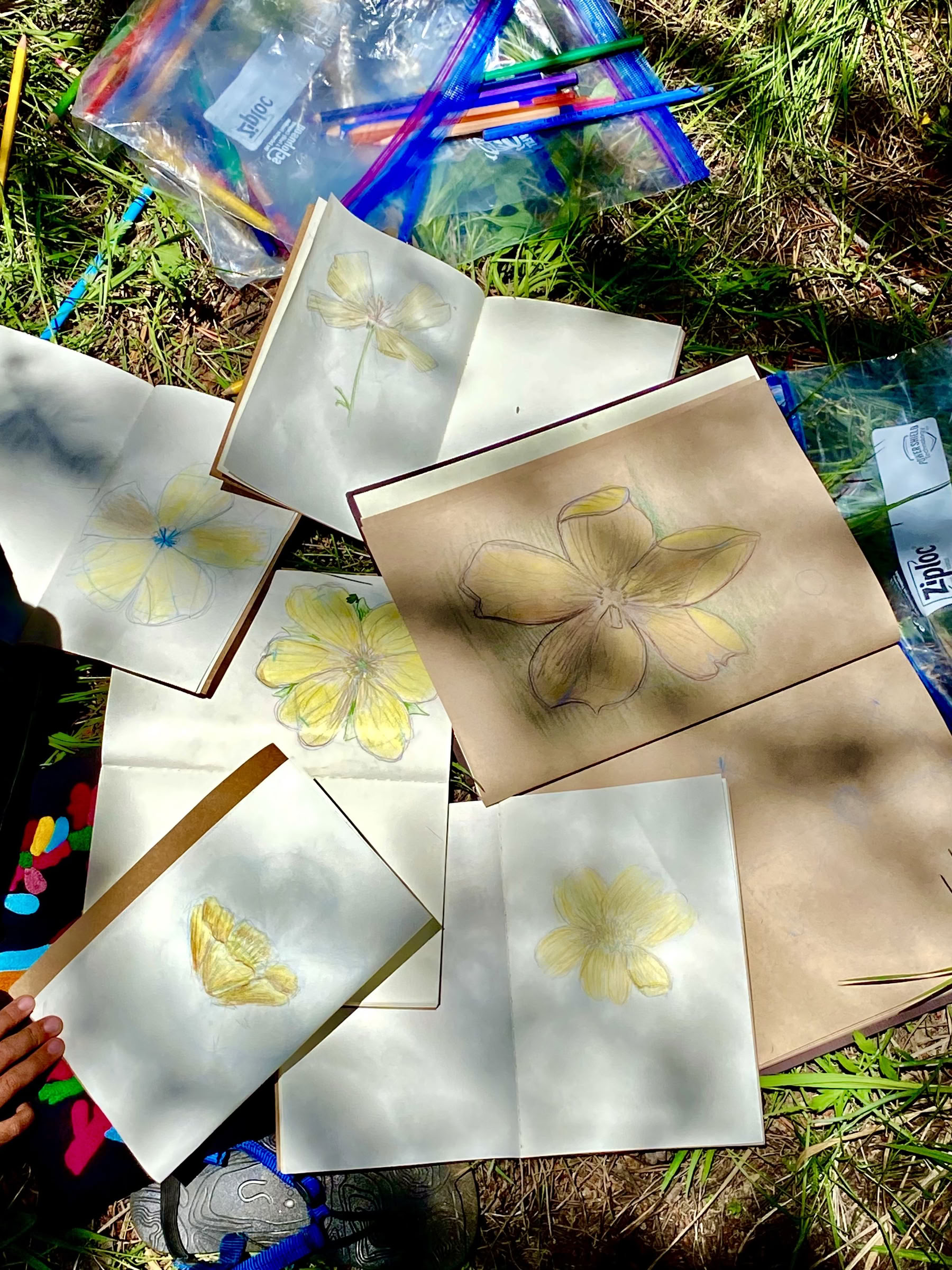 Youth Engaged in Transformational Inquiry : 6-Day Campamento en la naturaleza