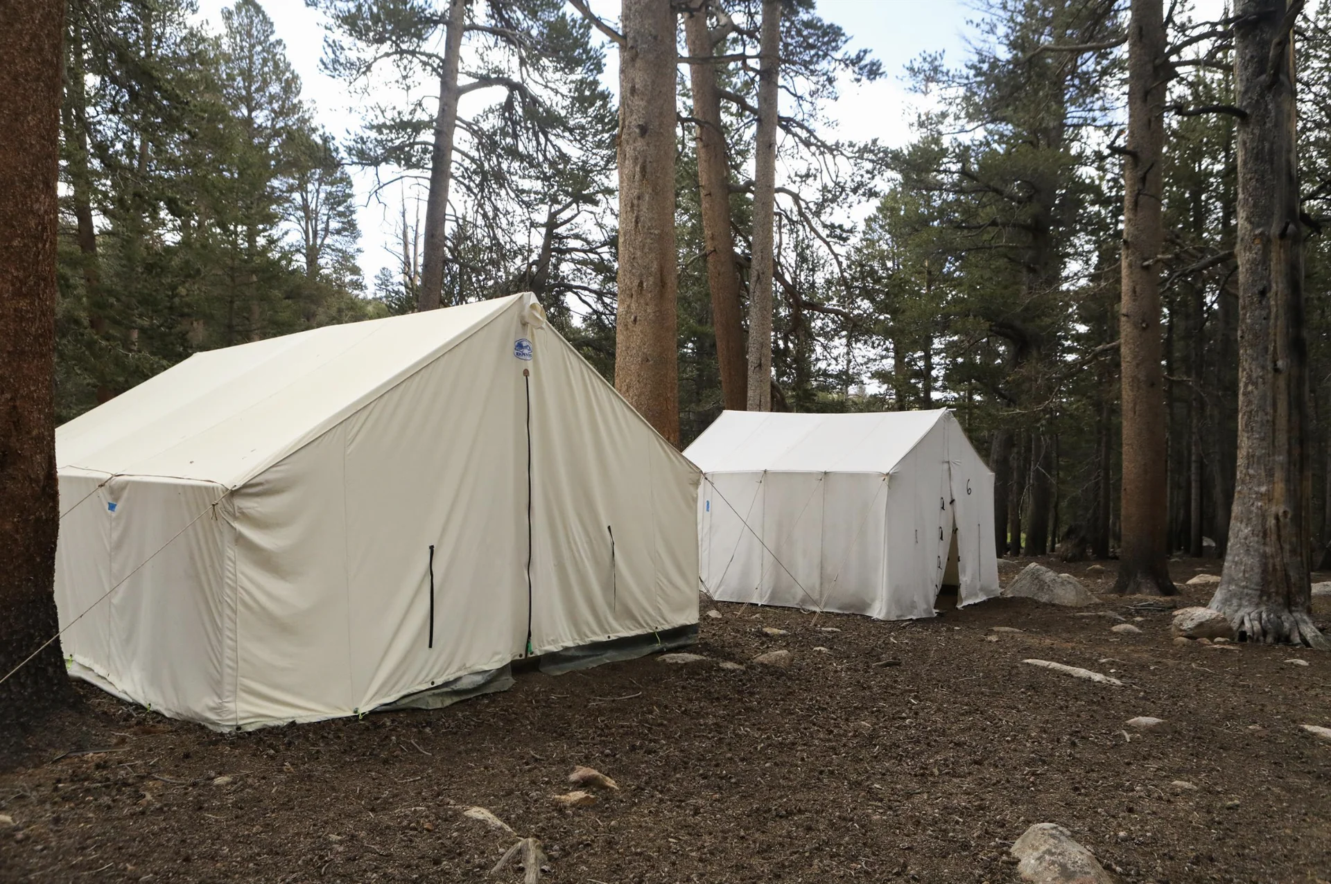 Youth Engaged in Transformational Inquiry : 6-Day Campamento en la naturaleza