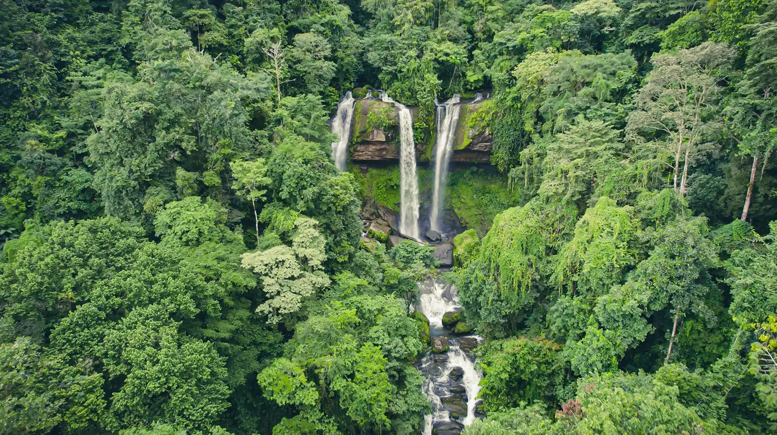 5 Night Retiro de Ayahuasca