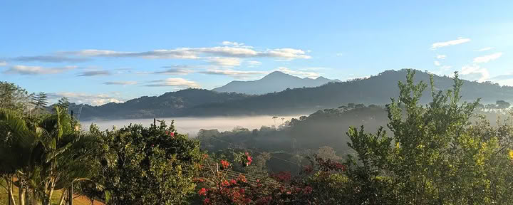 5 Night Retiro de Ayahuasca