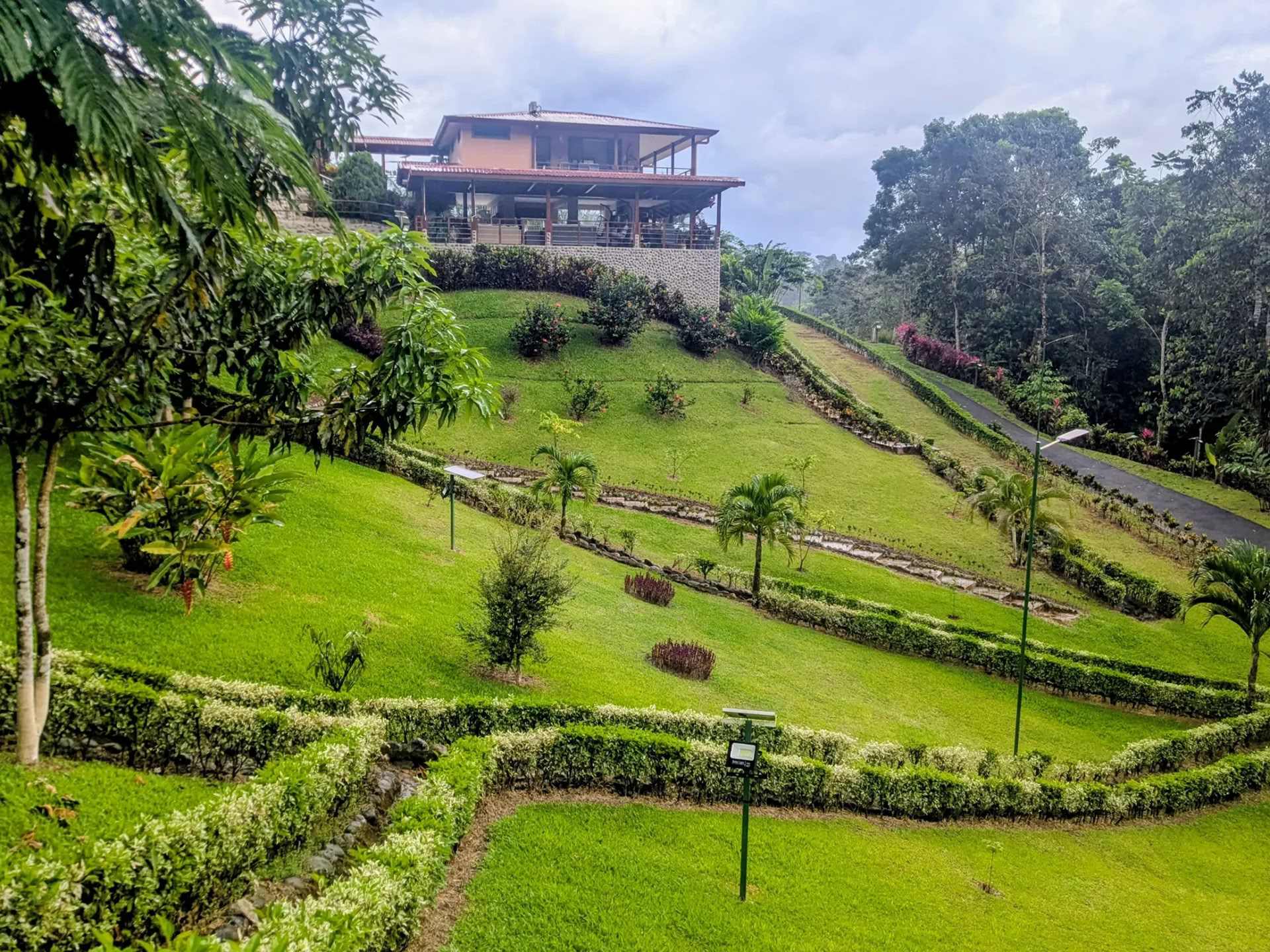 7 Night Retiro de Ayahuasca