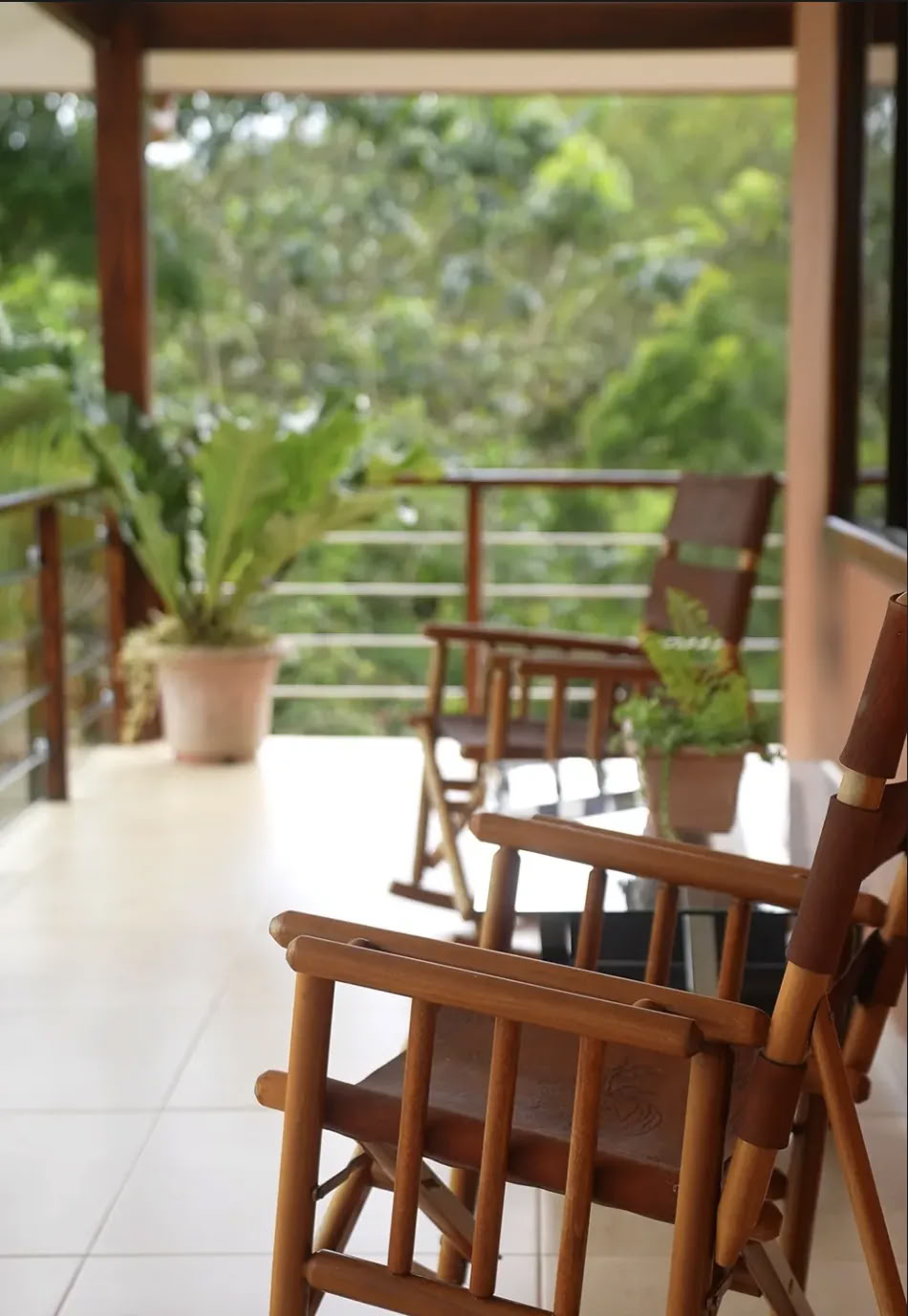 7 Night Retiro de Ayahuasca