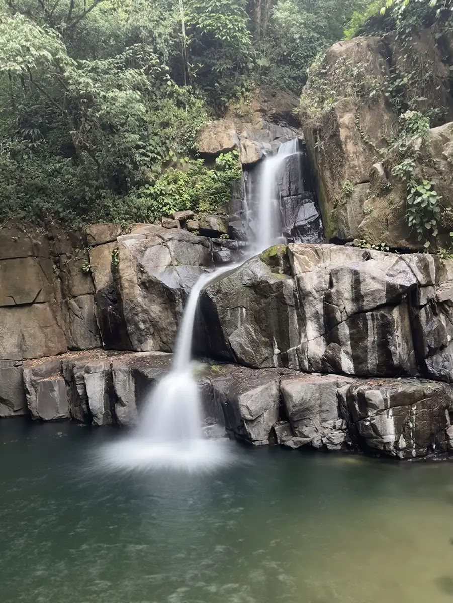 7 Night Retiro de Ayahuasca