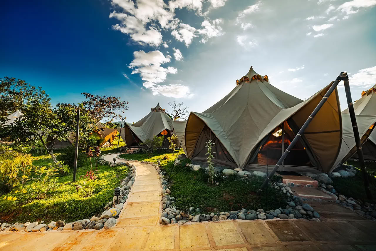 7 Night Retiro de Ayahuasca