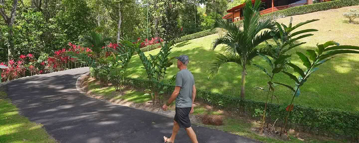 7 Night Retiro de Ayahuasca
