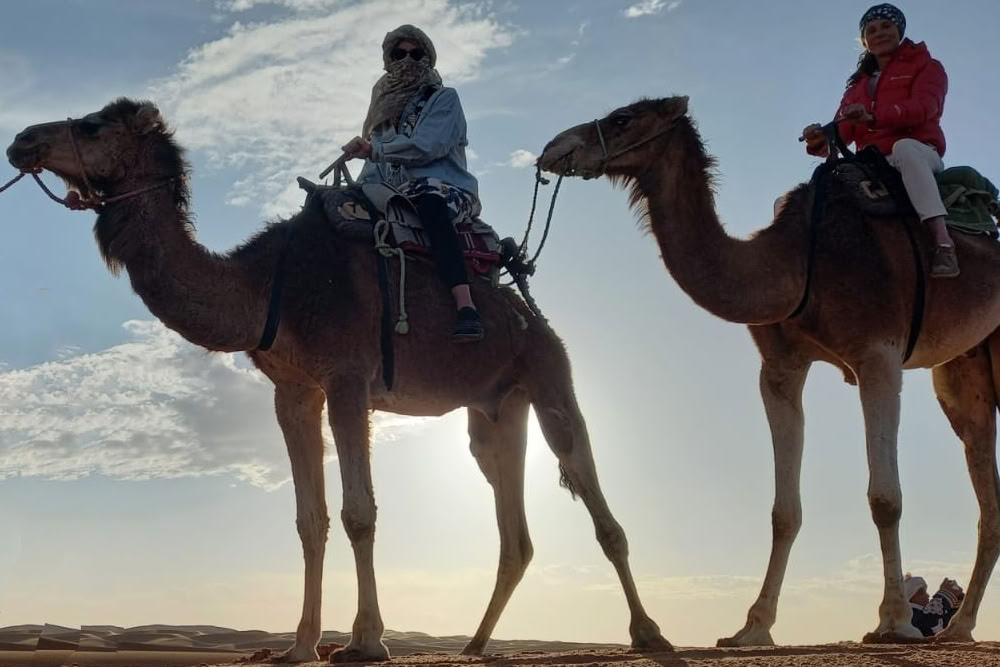 La Voz del Desierto