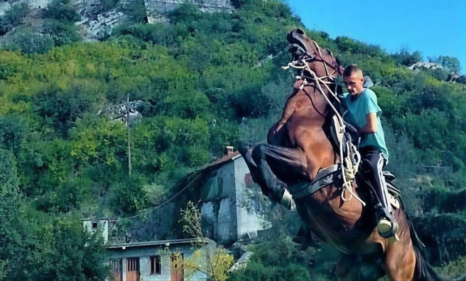 Tour Privado del Monasterio de Montenegro