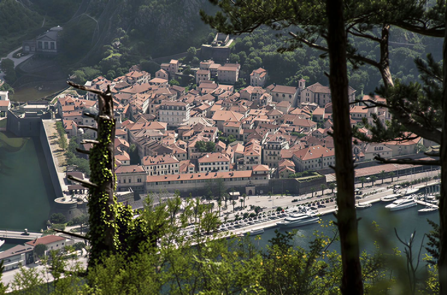 Tour Privado del Monasterio de Montenegro