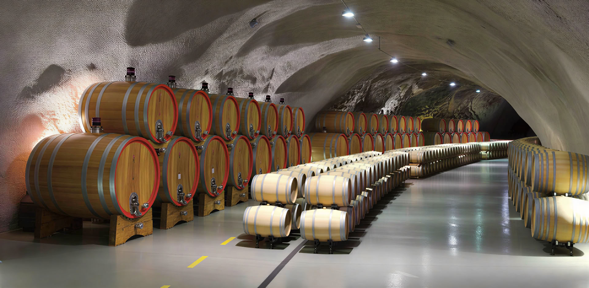 Tour de la Ruta del Vino de Montenegro