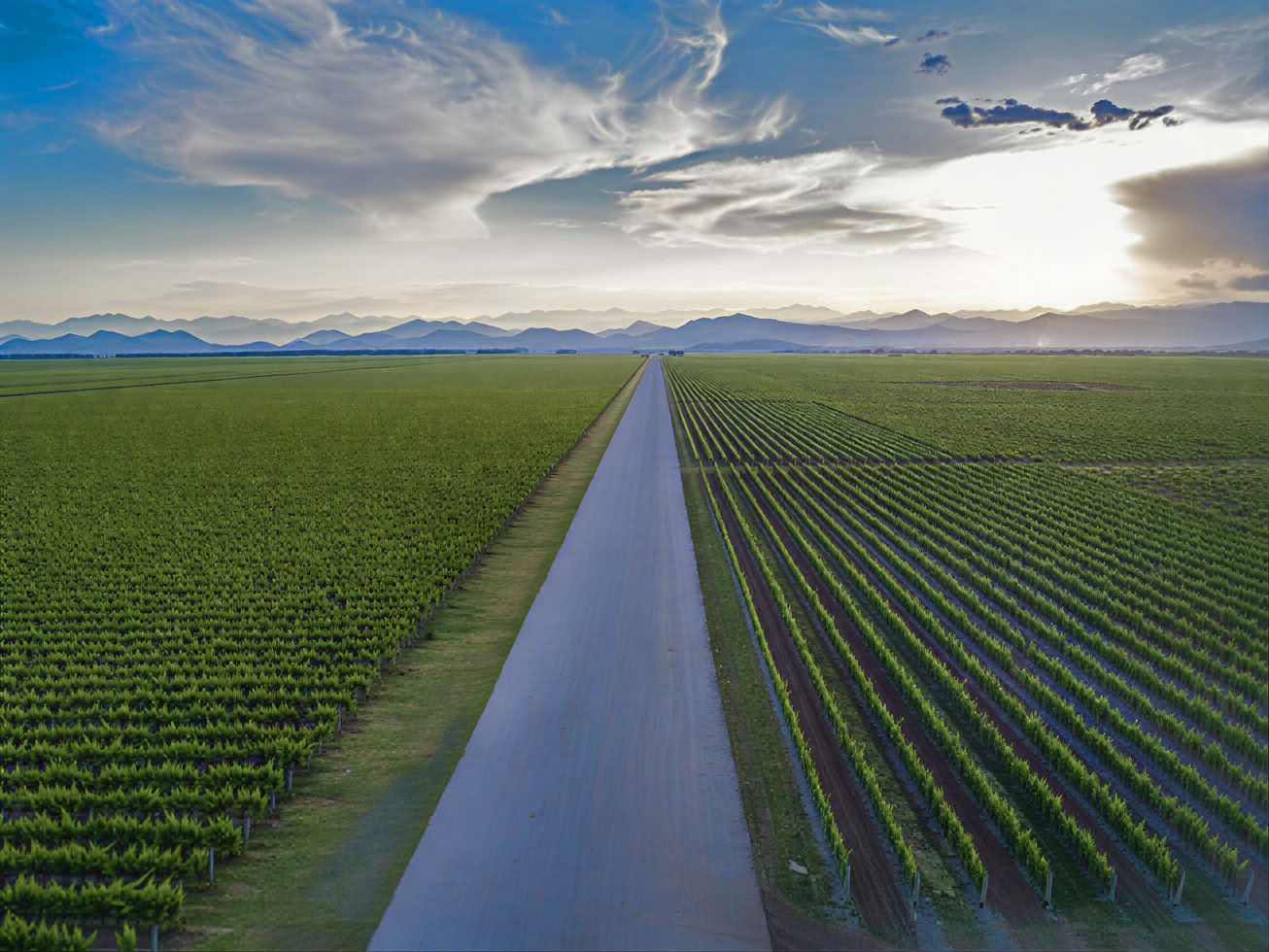 Tour de la Ruta del Vino de Montenegro