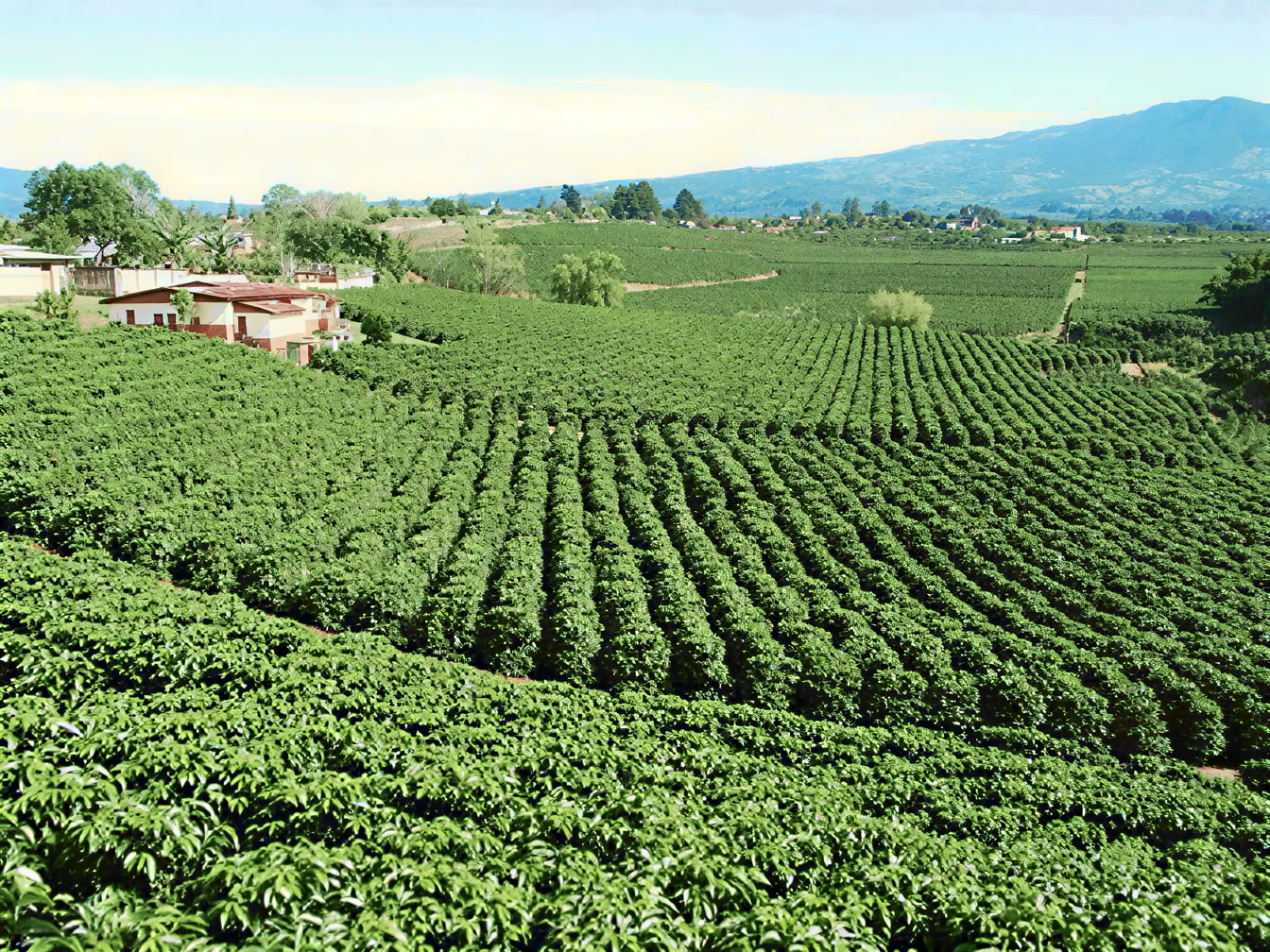 Combo Tour: Parque Nacional Volcán Poás – Tour de Café Doka – Jardines de la Cascada La Paz