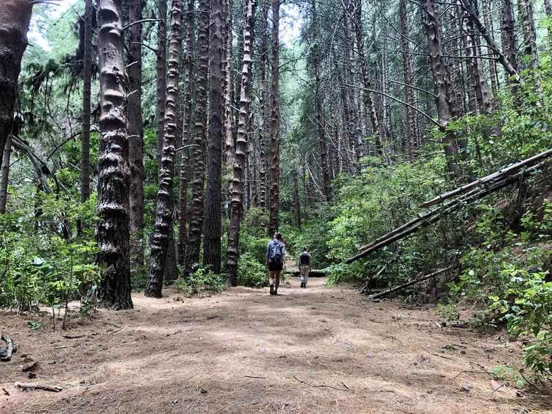 Volcán Irazú y Aguas Termales Hacienda Orosi