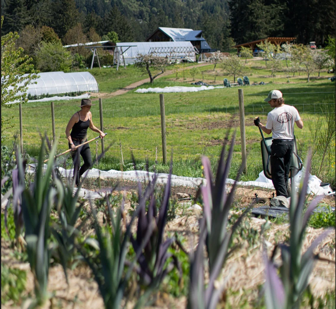 Preparando el jardín para la próxima temporada