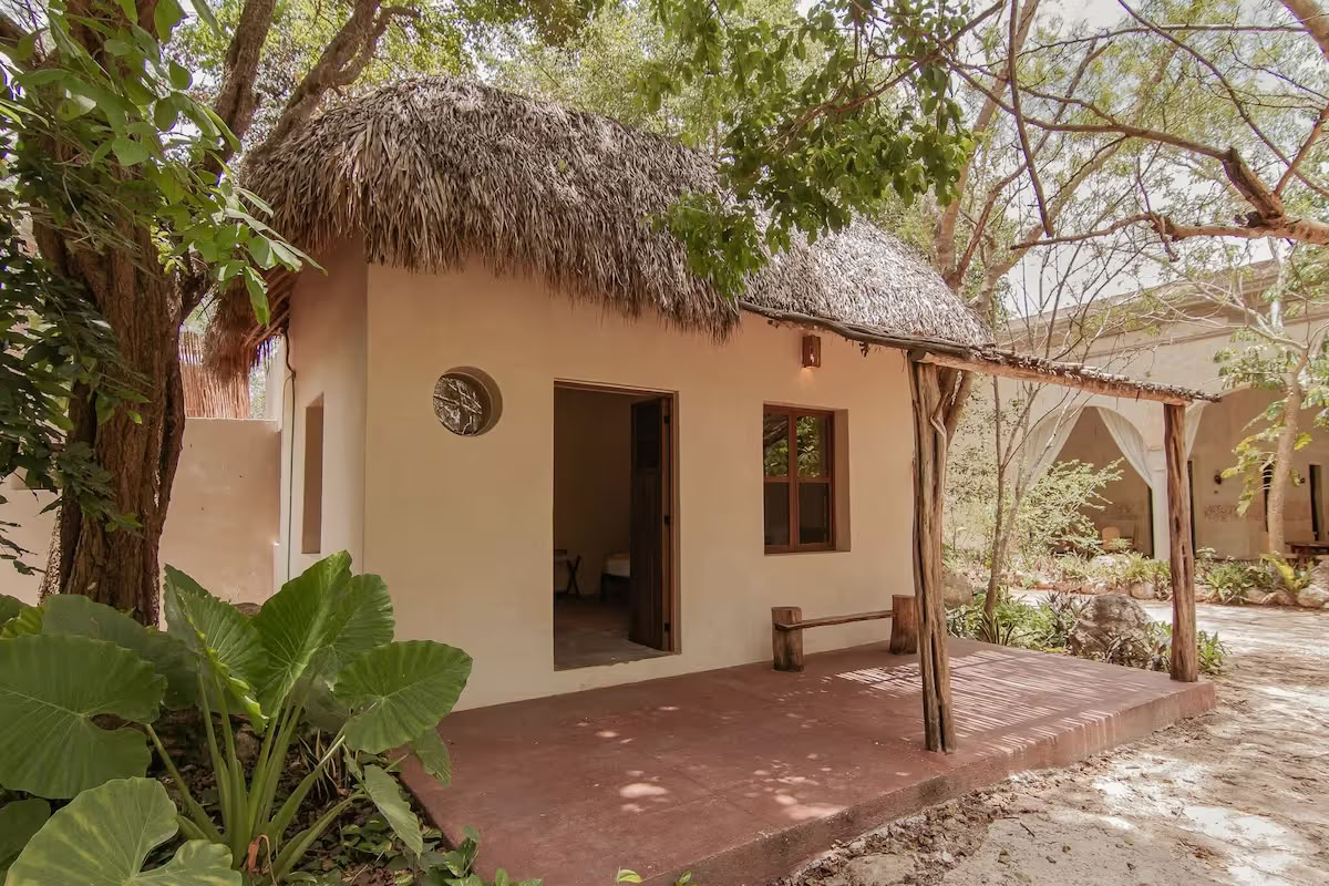 Retiro de 4 días de Bufo y hongos de psilocibina