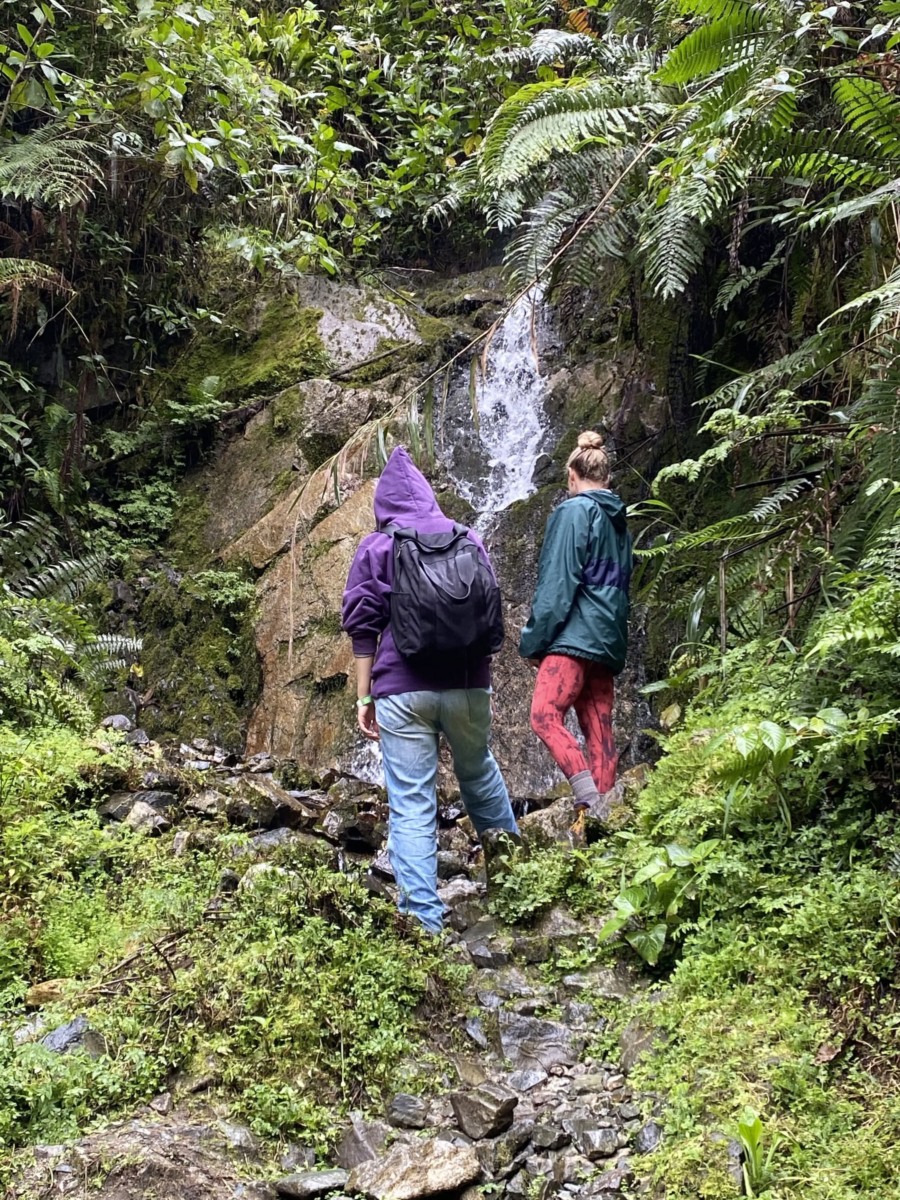 Retiro de Ayahuasca para Mujeres